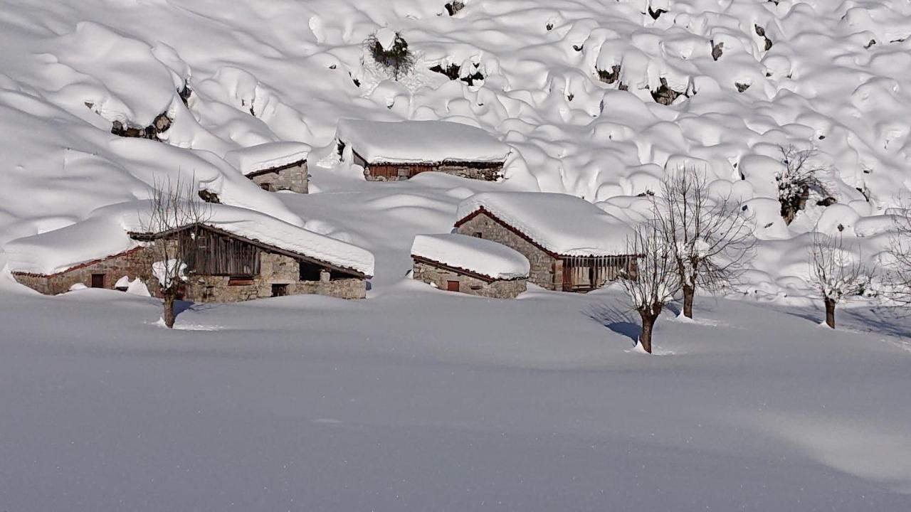 Casa Rural Las Fraguas Llanes, Gulpiyuri, Bufones Екстер'єр фото